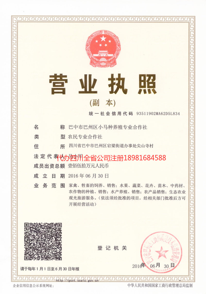 石首石首小马种养殖专业合作社